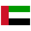 Dubai Flag